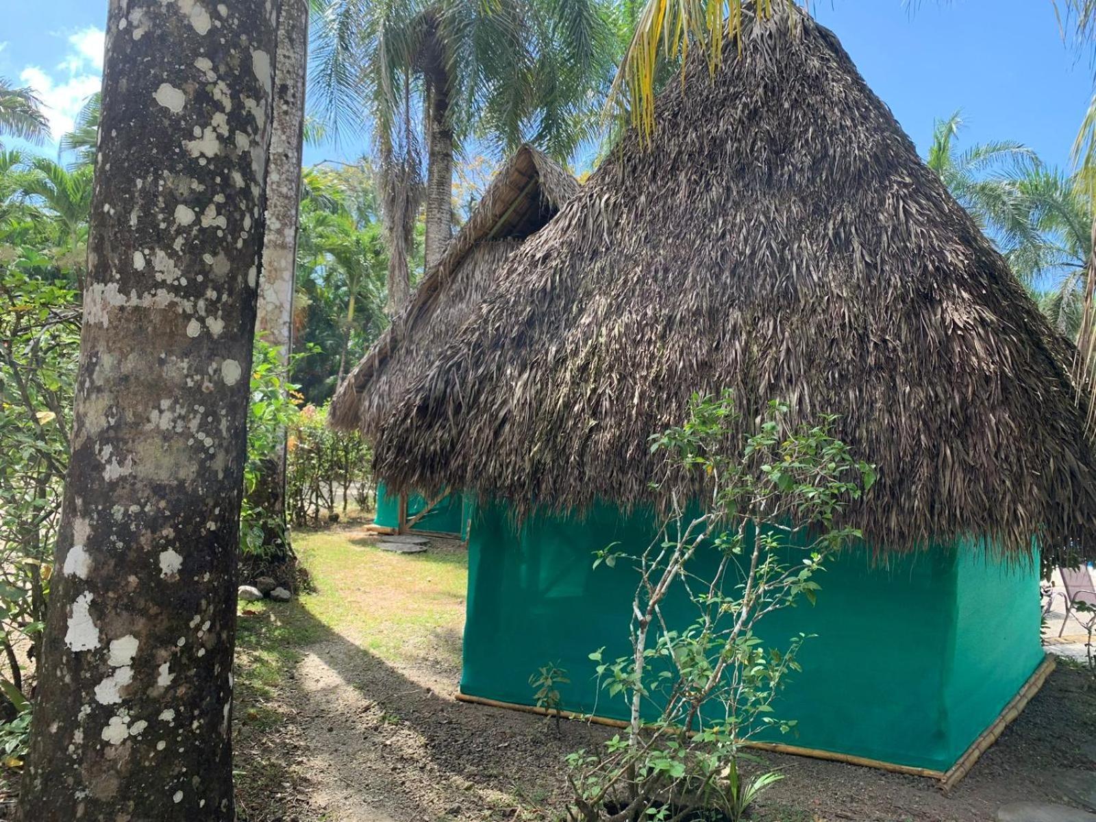 Mal Pais Surf Camp Hotel Playa Santa Teresa  Luaran gambar