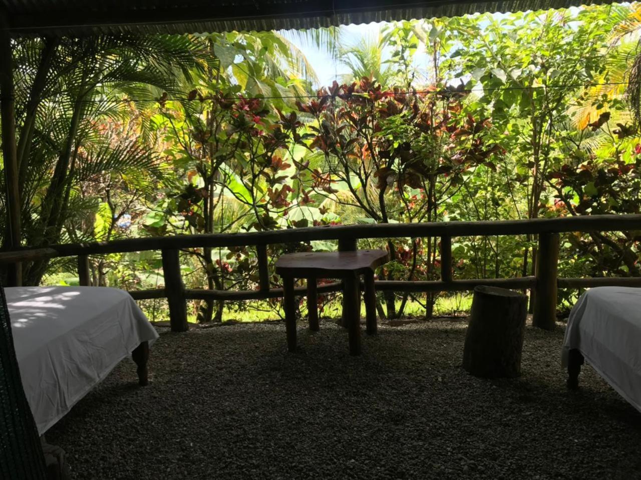 Mal Pais Surf Camp Hotel Playa Santa Teresa  Luaran gambar