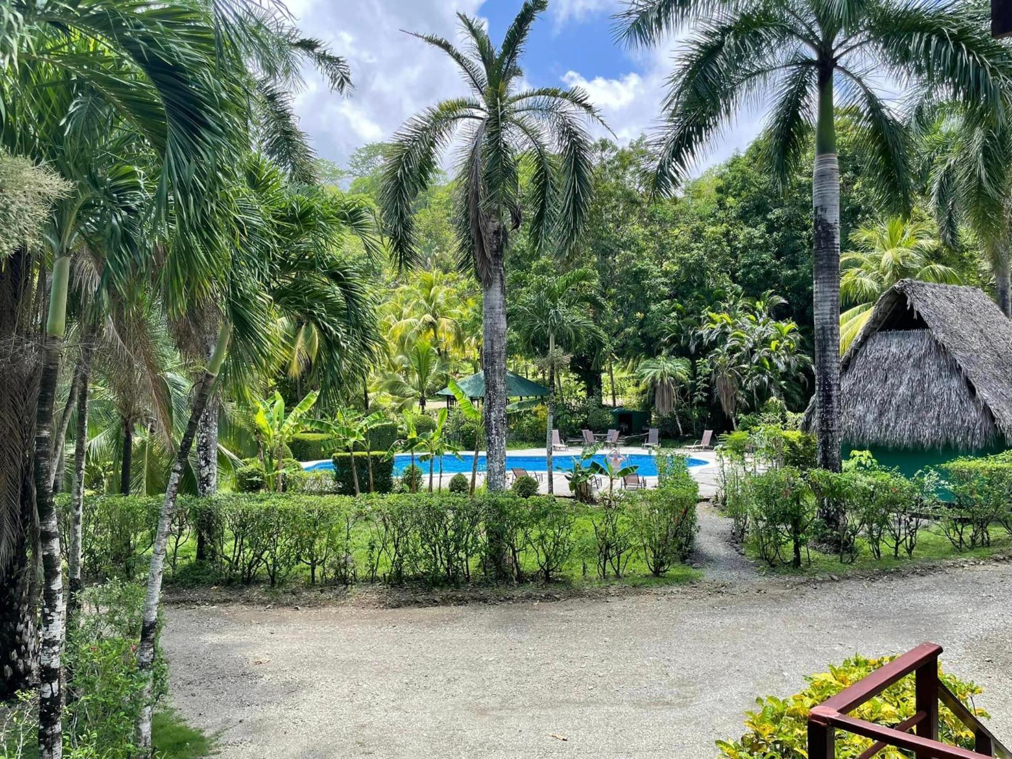 Mal Pais Surf Camp Hotel Playa Santa Teresa  Bilik gambar
