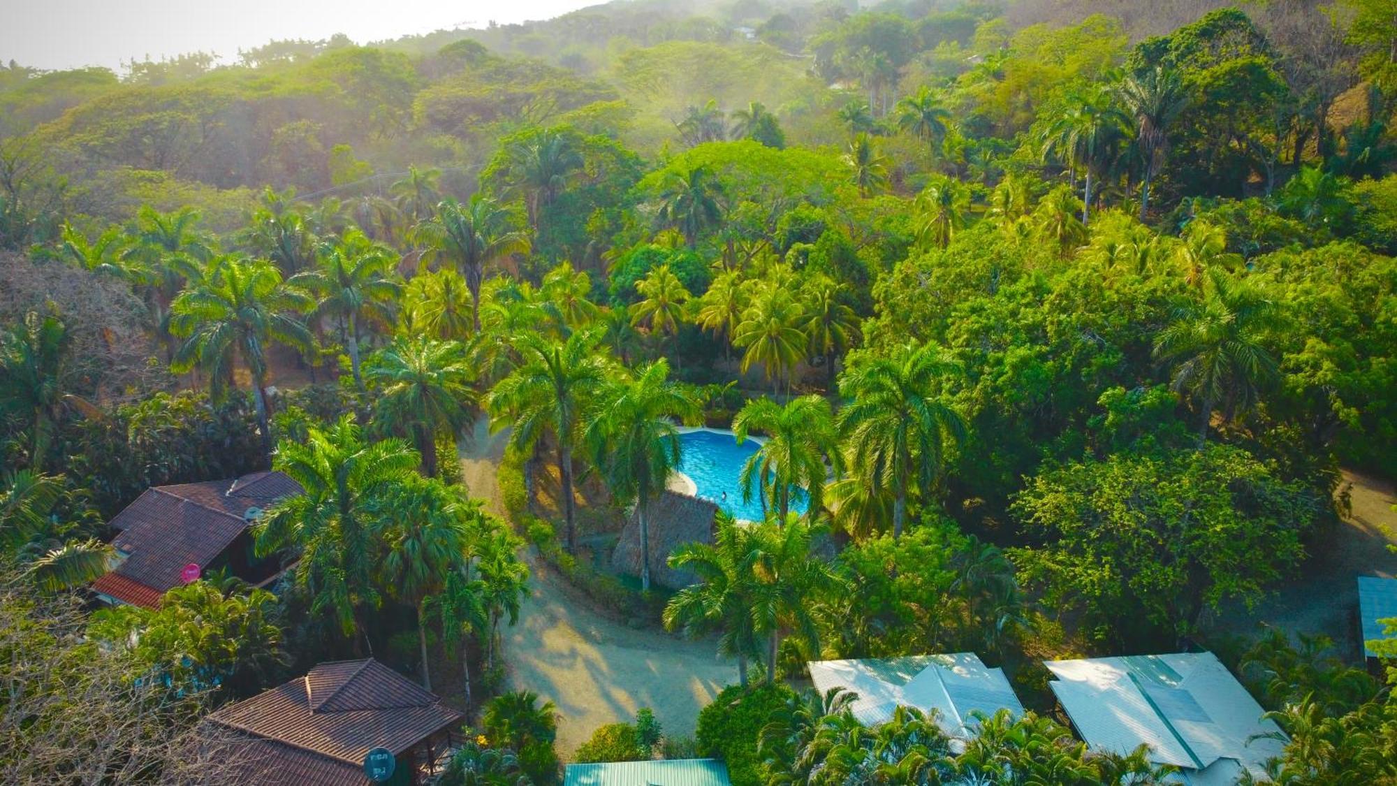 Mal Pais Surf Camp Hotel Playa Santa Teresa  Luaran gambar