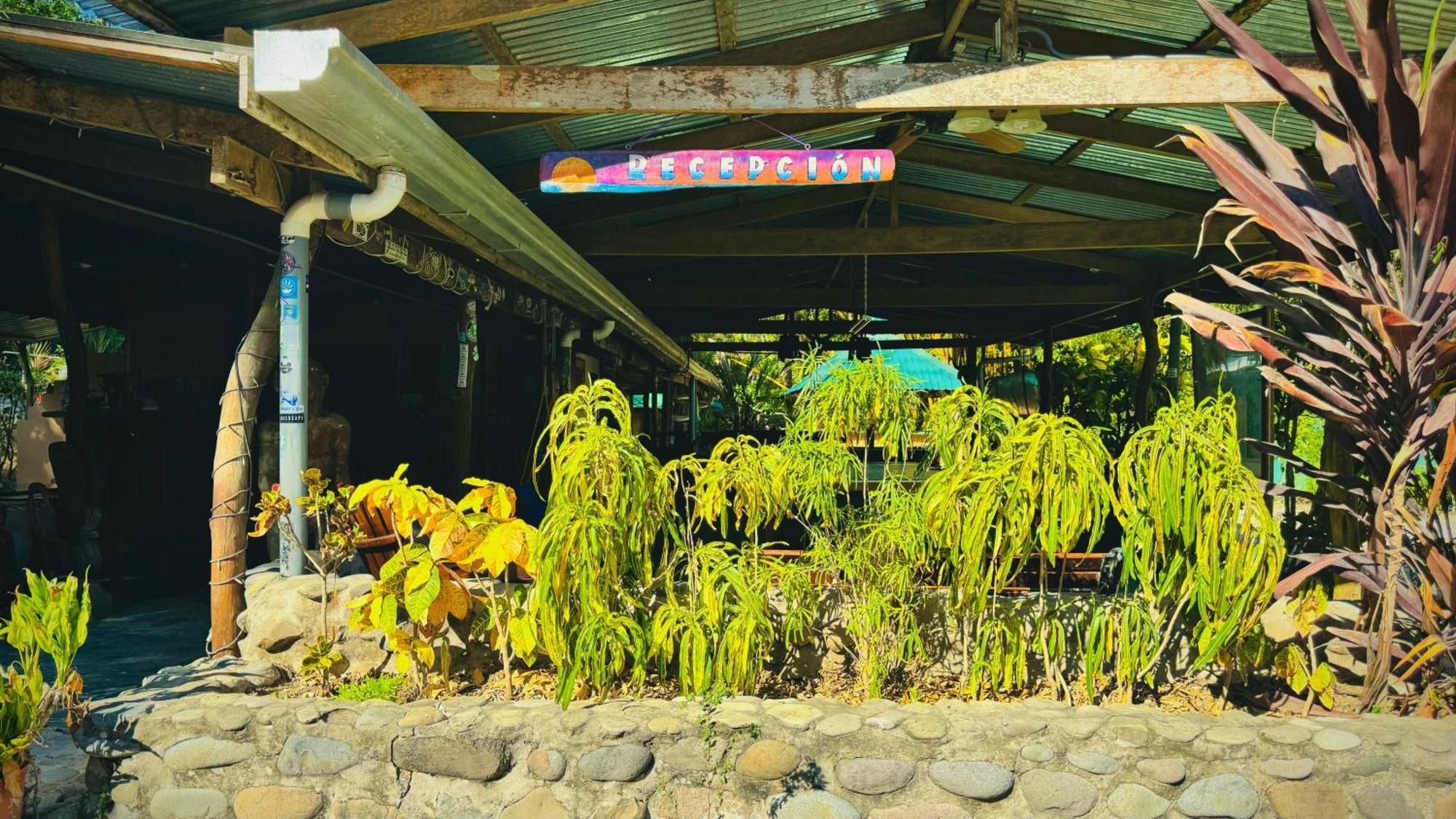 Mal Pais Surf Camp Hotel Playa Santa Teresa  Luaran gambar