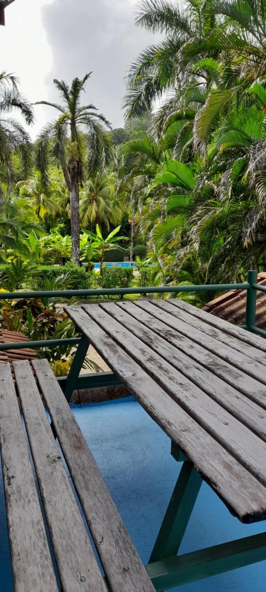 Mal Pais Surf Camp Hotel Playa Santa Teresa  Luaran gambar
