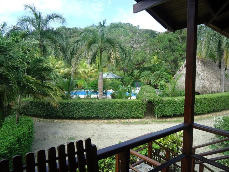Mal Pais Surf Camp Hotel Playa Santa Teresa  Luaran gambar