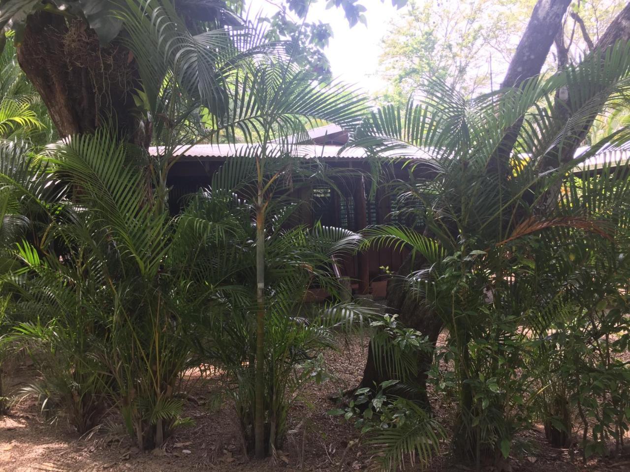 Mal Pais Surf Camp Hotel Playa Santa Teresa  Luaran gambar