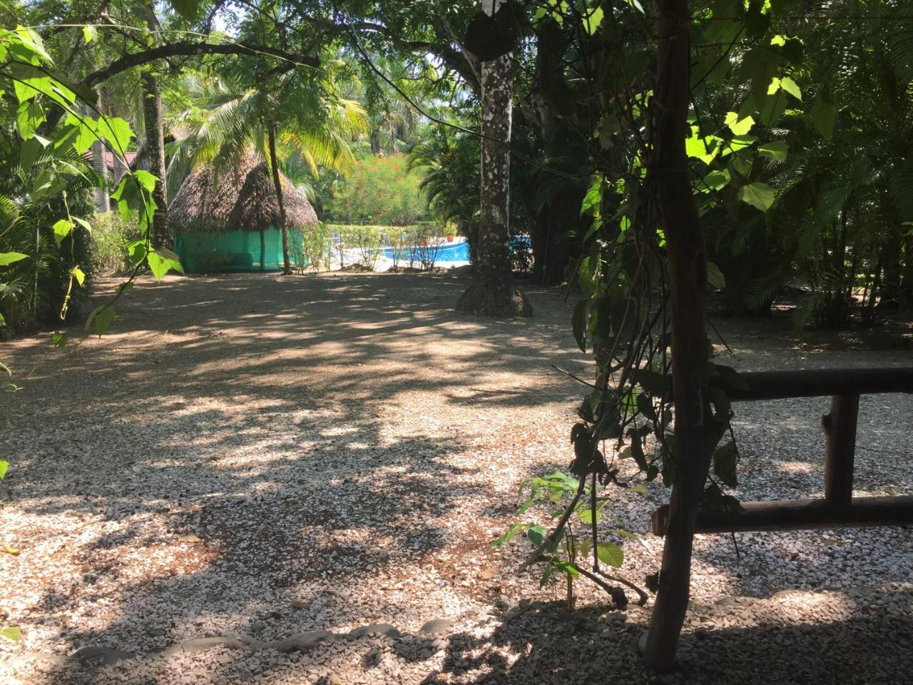 Mal Pais Surf Camp Hotel Playa Santa Teresa  Luaran gambar