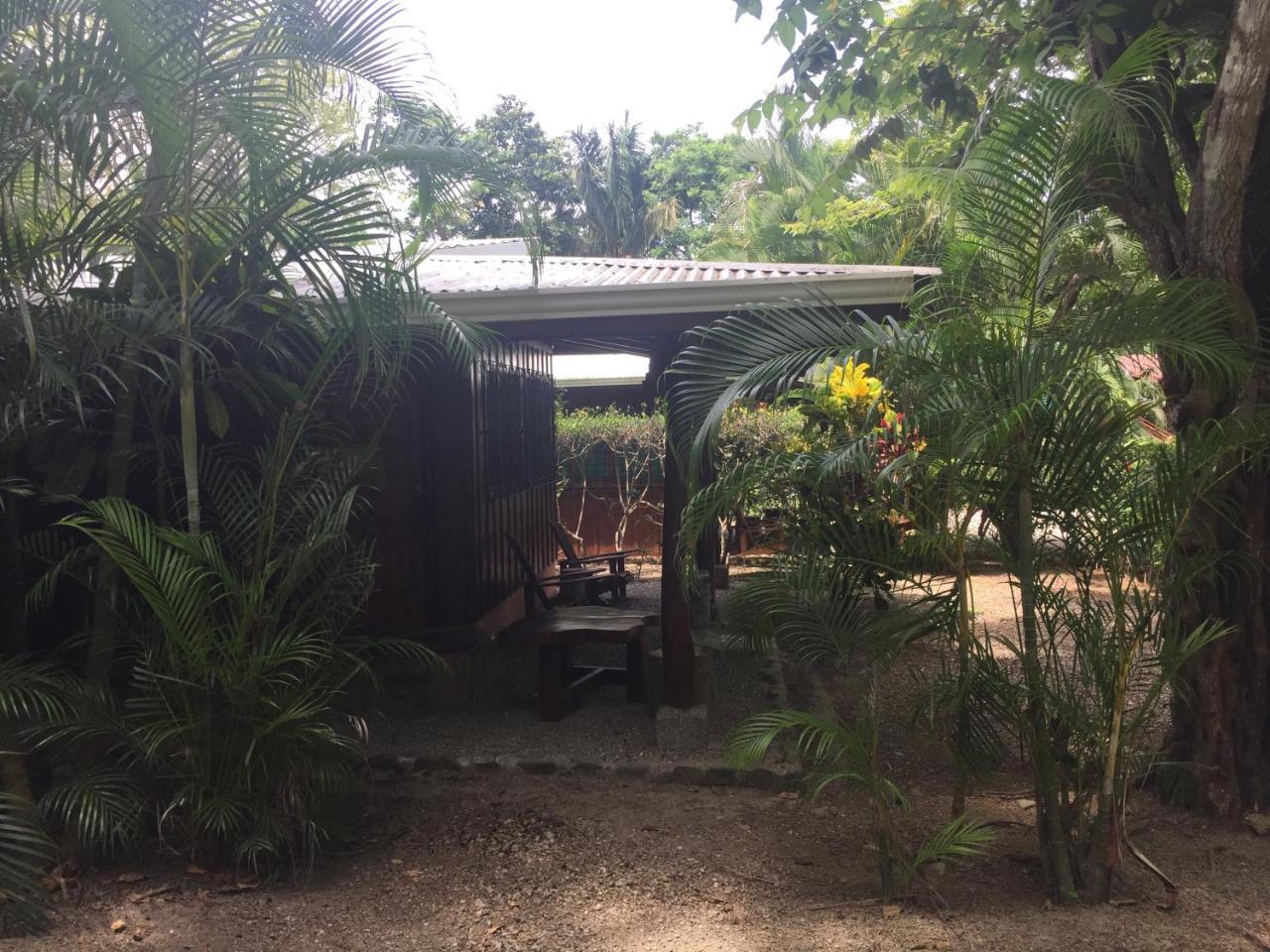 Mal Pais Surf Camp Hotel Playa Santa Teresa  Luaran gambar